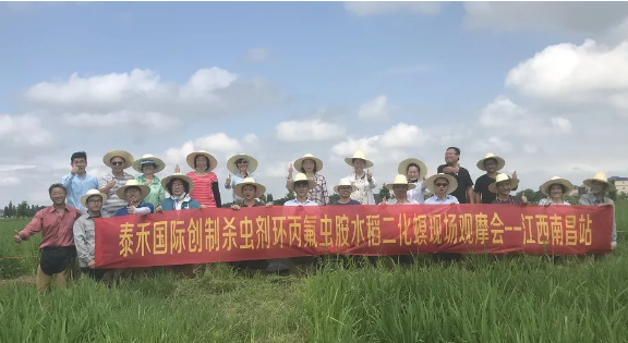 水稻二化螟为害肆意疯狂 环丙氟虫胺出手技惊四座 ——创新杀虫剂环丙氟虫胺水稻二化螟药效田试年内首秀